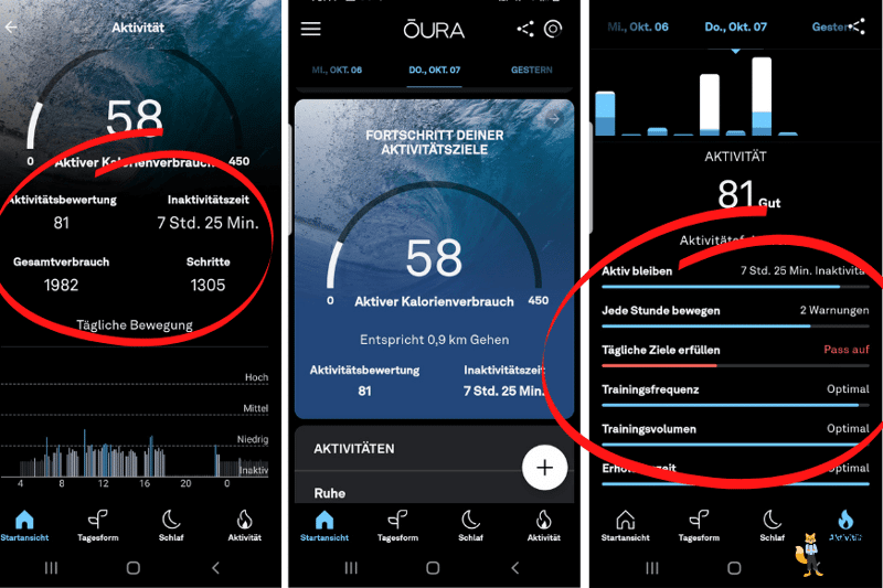 Man sieht die Aktivität in der Oura-App